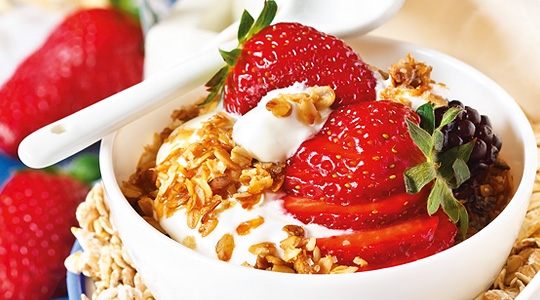 อาหารโปรไบโอติก (Probiotic) เทรนด์สุขภาพที่มาแรงกับบทบาทในการจัดการความเครียด
