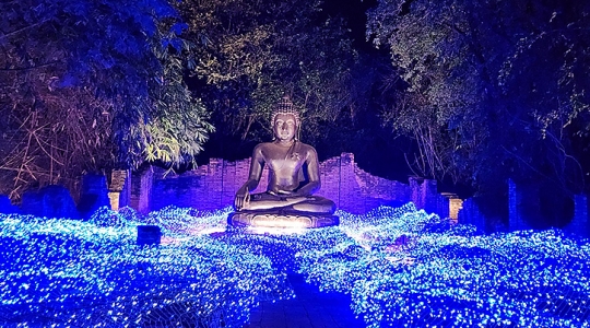 “Nasatta Light Festival Winter Illumination 2024” ชมงานไฟอลังการที่ ณ สัทธา อุทยานการเรียนรู้และอนุรักษ์วัฒนธรรมไทย