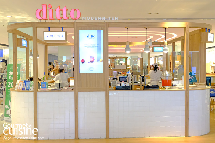 Ditto Modern Tea