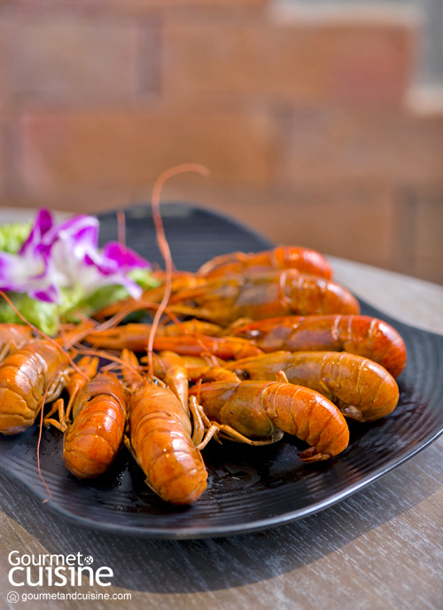 Chubby Crayfish