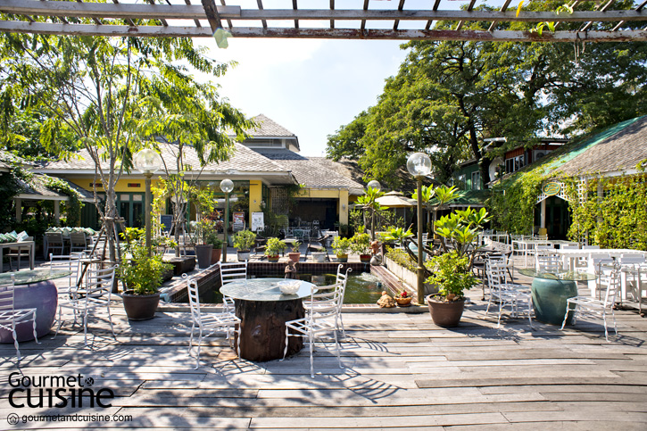 เทศกาลมะม่วง ที่ร้านอ.มัลลิการ์ vs ปังยิ้ม