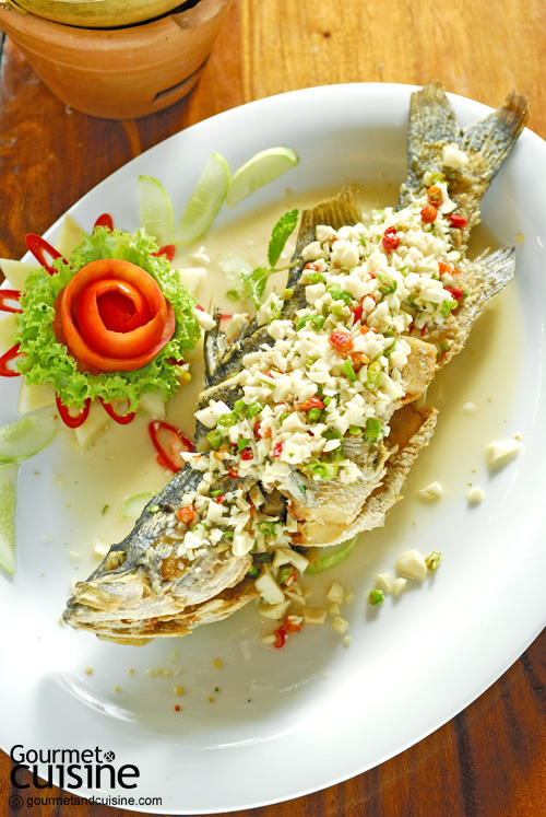 ชวนกิน 10 ร้านอาหารอร่อย “ระยอง” ห้ามพลาด!