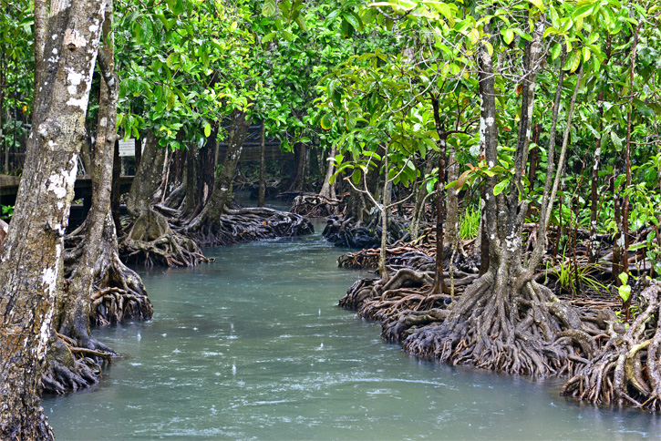 เที่ยวสปาทาวน์ ชมวิถีธรรมชาติ เมืองกระบี่