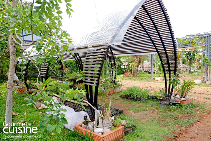 บินลัดฟ้าไปเสพธรรมชาติอย่างแท้จริงที่ We Green สมุย
