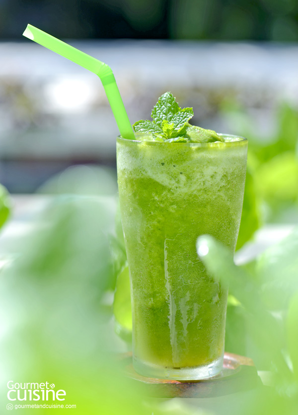 ตามกระแส Celery Juice Drink ดื่มอย่างไรเพื่อให้เกิดผลดีต่อร่างกาย
