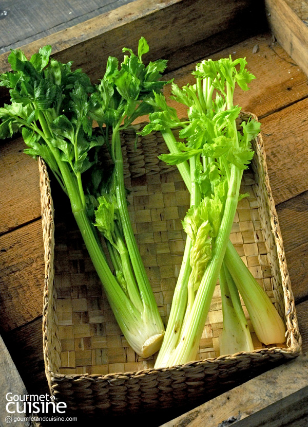 ตามกระแส Celery Juice Drink ดื่มอย่างไรเพื่อให้เกิดผลดีต่อร่างกาย