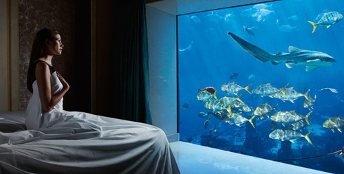 Atlantis, The Palm