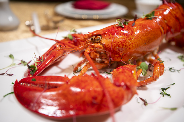 อิ่มอร่อยไปกับกุ้งมังกร (Boston Lobster) สดใหม่ ณ ห้องอาหารซัมเมอร์ พาเลซ โรงแรมอินเตอร์คอนติเนนตัล กรุงเทพฯ