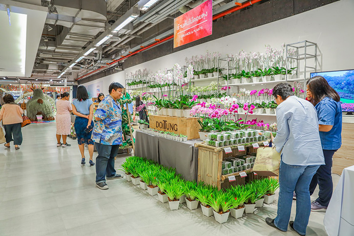 ตะลุยงาน 'กาดดอยตุง' พร้อมกิน เที่ยว ช้อปฯ แบบรักษ์โลกท่ามกลางบรรยากาศคล้ายแอ่วดอย