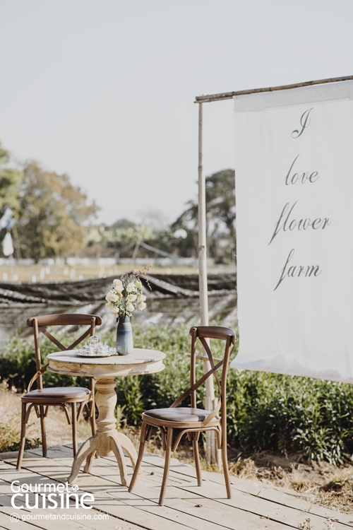 I Love Flower Farm