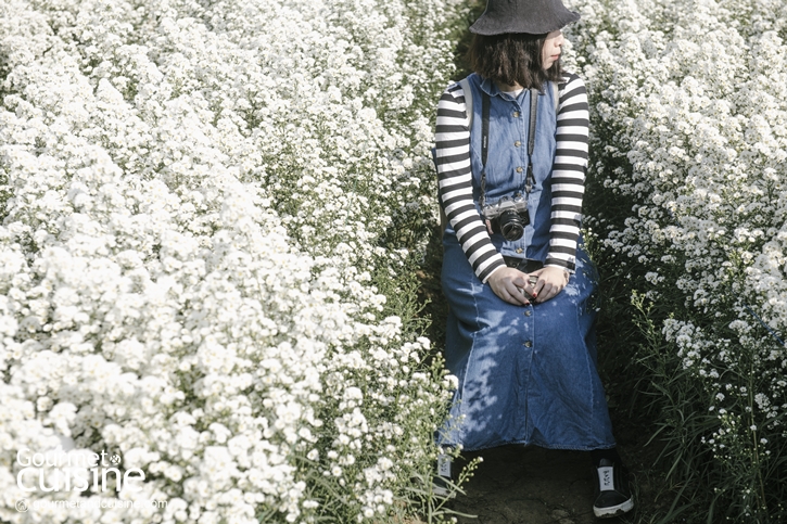 I Love Flower Farm