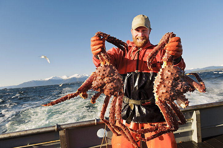Secrets of Alaska king Crab : 5 ความลับฉบับ “ปูอลาสก้า”
