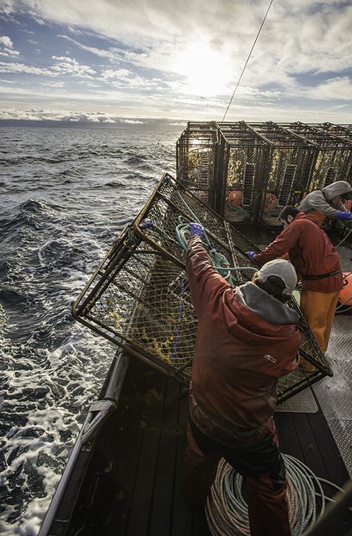 Secrets of Alaska king Crab : 5 ความลับฉบับ “ปูอลาสก้า”