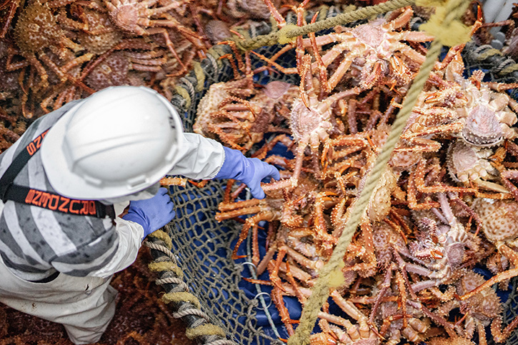 Secrets of Alaska king Crab : 5 ความลับฉบับ “ปูอลาสก้า”