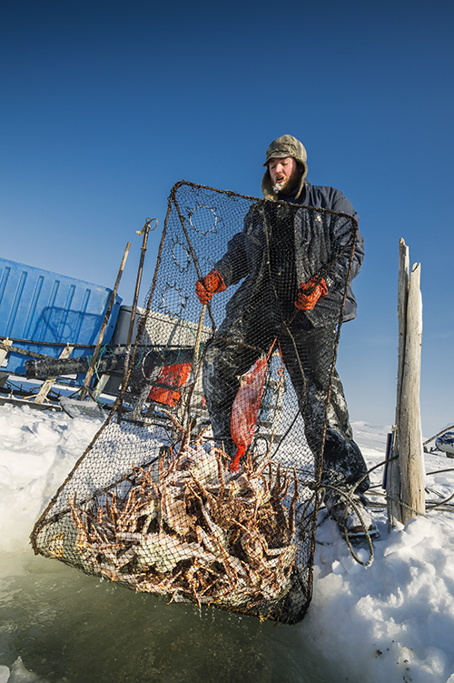 Secrets of Alaska king Crab : 5 ความลับฉบับ “ปูอลาสก้า”