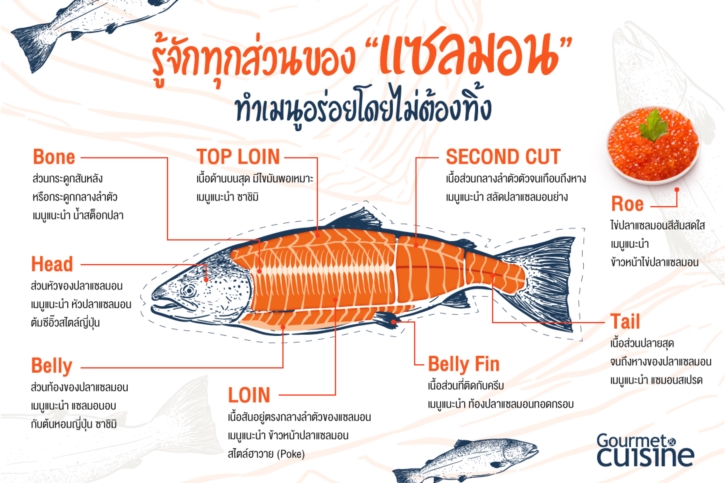 รู้จักกับส่วนต่างๆ ของแซลมอน นำมาทำเมนูได้โดยไม่ต้องทิ้ง