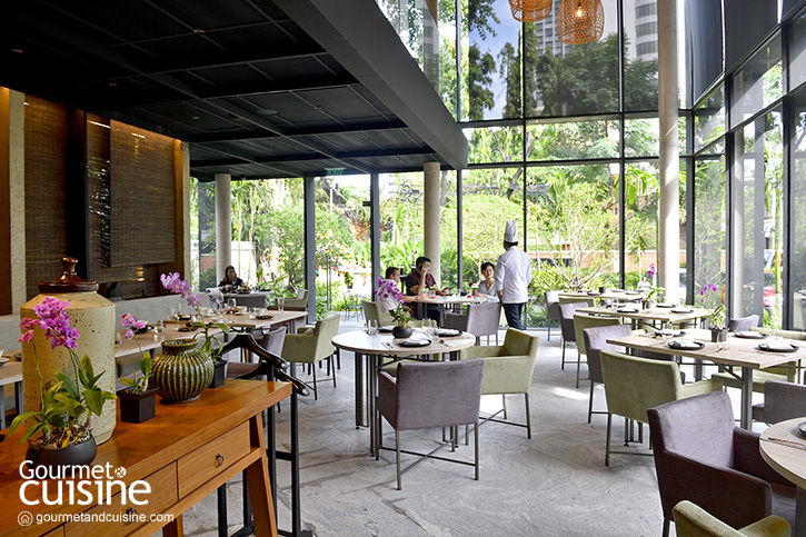 เรือนนพเก้า Authentic Thai Cuisine
