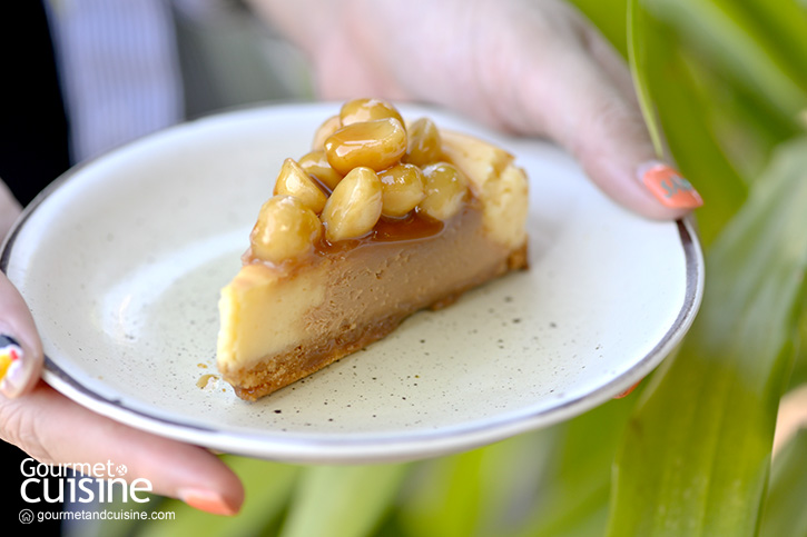 N10cafe พักผ่อนหย่อนใจที่คาเฟ่หมายเลข 10 ริมแม่น้ำเจ้าพระยา