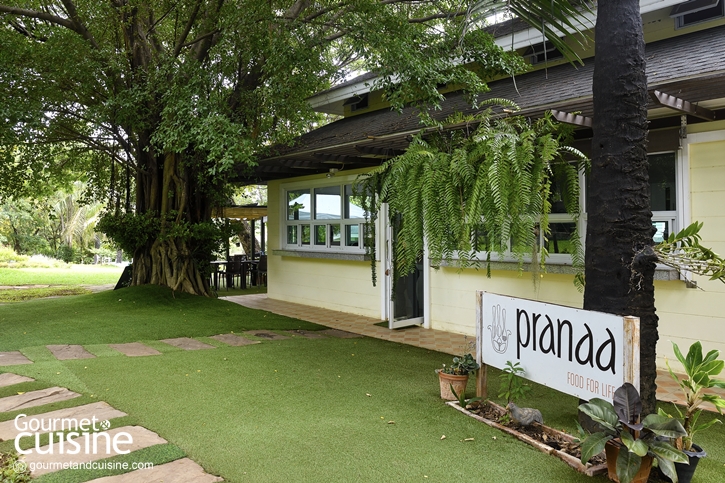 Wellness We Care Center