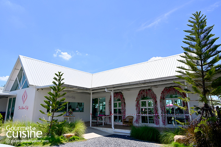 The Aileen Café & Restaurant คาเฟ่ของคนรักธรรมชาติ