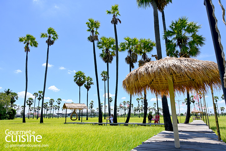 The Aileen Café & Restaurant คาเฟ่ของคนรักธรรมชาติ