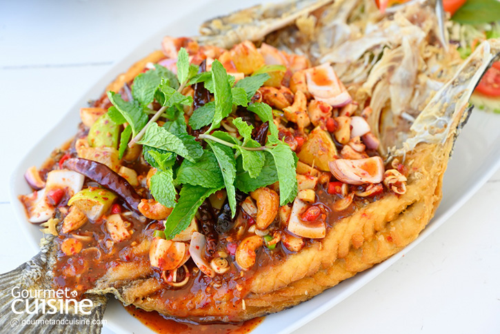 The Aileen Café & Restaurant คาเฟ่ของคนรักธรรมชาติ