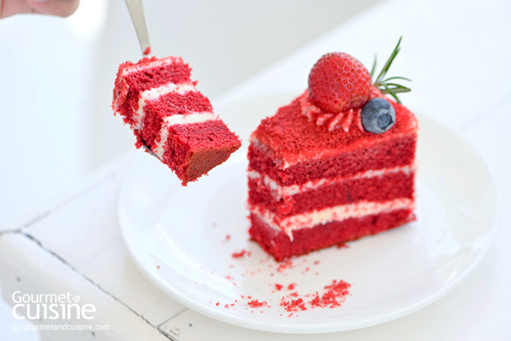 The Aileen Café & Restaurant คาเฟ่ของคนรักธรรมชาติ