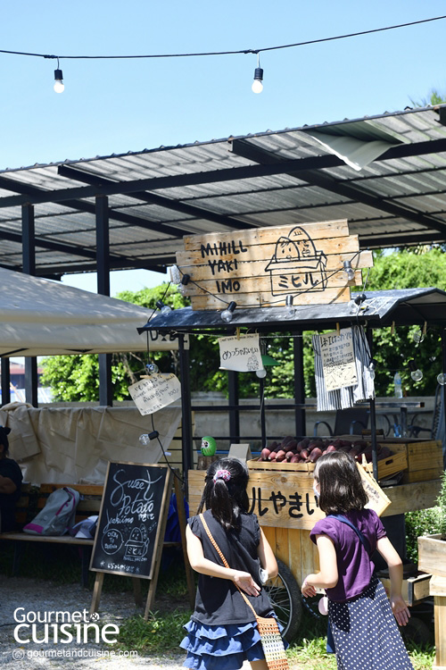 KAMABOKO CAMP