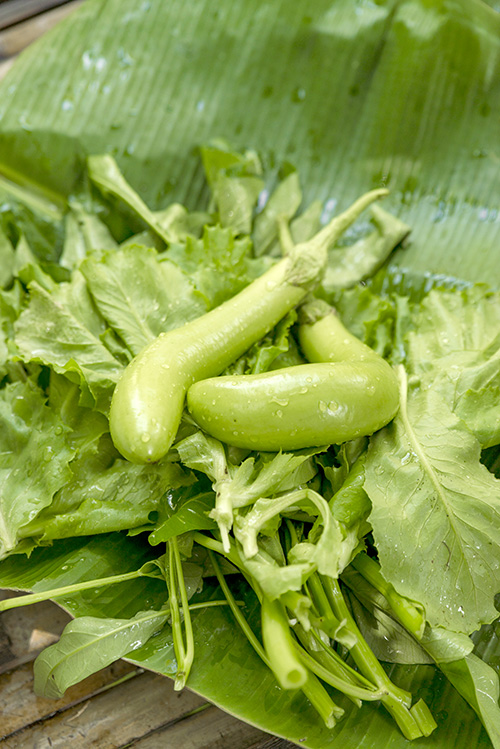 Green Nakhon Pathom กรีนดี อยู่ดี ที่นครปฐม