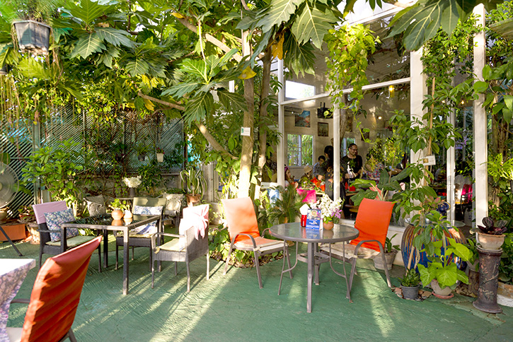 Green Nakhon Pathom กรีนดี อยู่ดี ที่นครปฐม