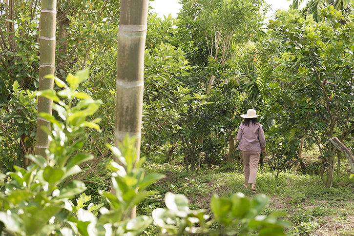 Green Nakhon Pathom กรีนดี อยู่ดี ที่นครปฐม