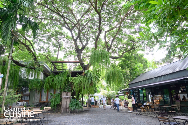 บ้าน ๑,๐๐๐ ไม้ Cafe & Farm