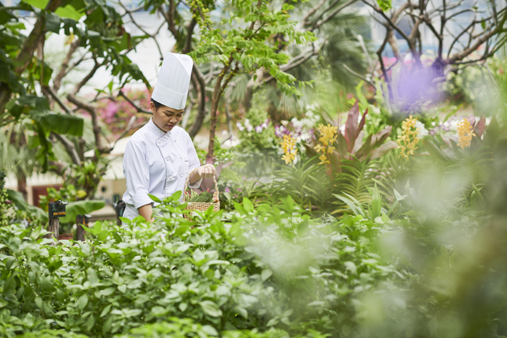 Staycation อย่างมีสไตล์พร้อมโปรแกรมฟื้นฟูสุขภาพ ที่โรงแรมเพนนินซูลา กรุงเทพฯ