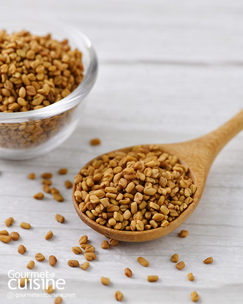 Fenugreek หรือลูกซัด กับประโยชน์ต่อสุขภาพ