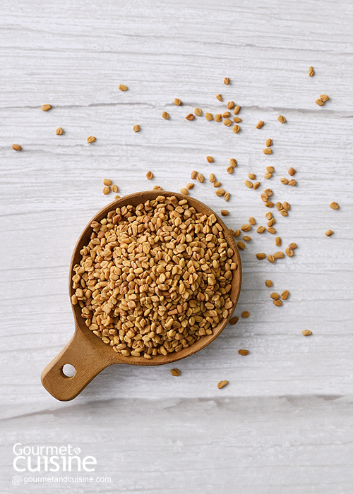 Fenugreek หรือลูกซัด กับประโยชน์ต่อสุขภาพ