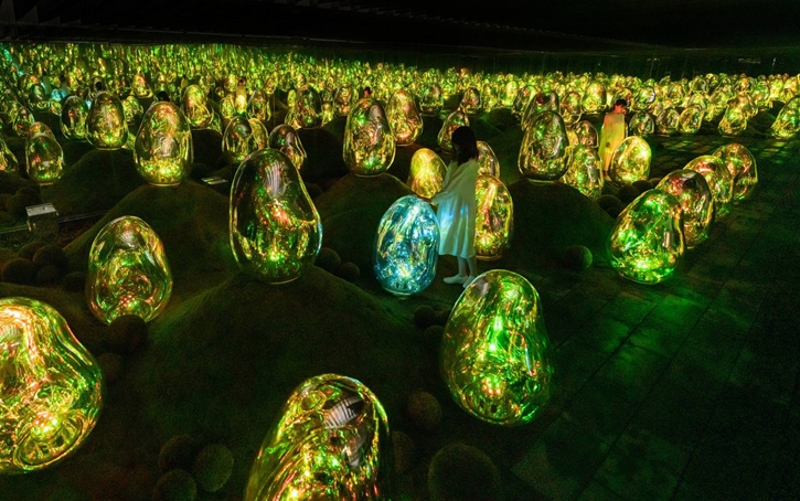 teamLab PLANETS ชวนดำดิ่งไปในสวนสวยกับโซนนิทรรศการใหม่ Garden Area