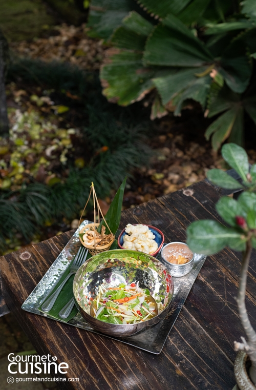 Chaan de Café ร้านสวยเมืองปทุมที่ต้องมีในลิสต์