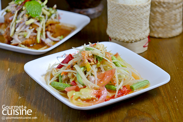 ตำตำ Zapp Cafe