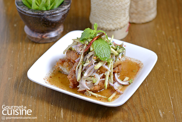 ตำตำ Zapp Cafe