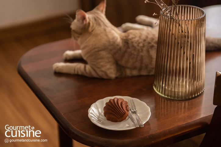 Slowblues Cafe โฮมคาเฟ่สุดอบอุ่น ย่านงามวงศ์วาน