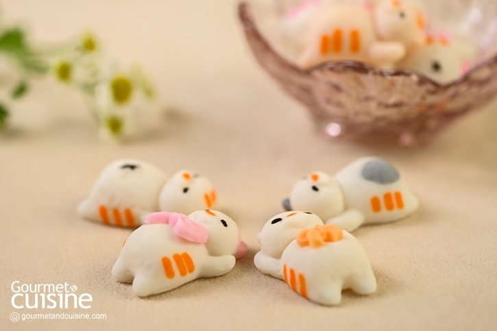 เคี้ยวหนึบหนับไปกับอาลัวแมว จากร้าน Kanom Indy