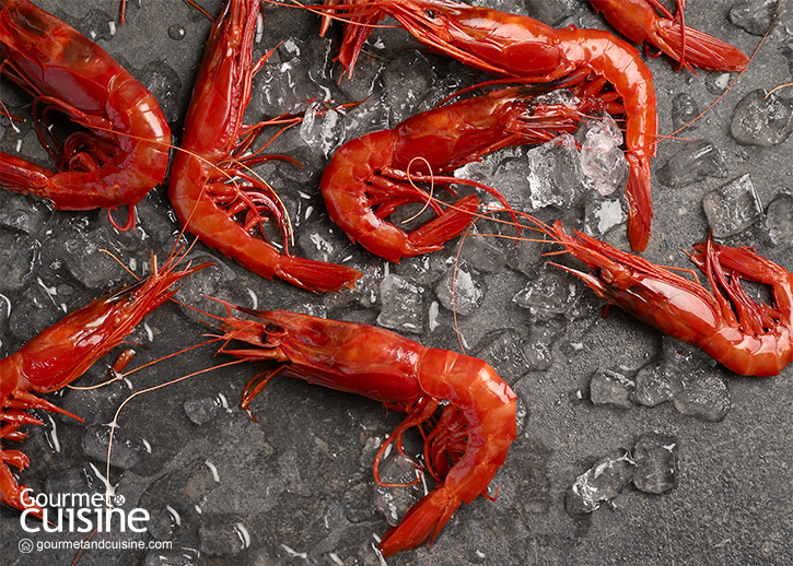 รู้จัก “กุ้ง” จากทั่วโลก