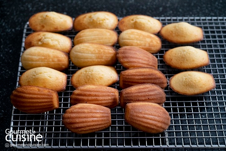  มาเดอแลน (Madeleine) ขนมชิ้นเล็กรูปทรงเปลือกหอย