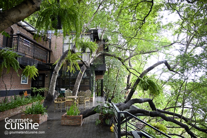 Ravi Riva Cafe