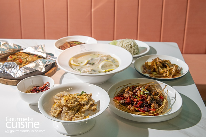 เด็ด เผ็ด ชาแบบจีนเสฉวน LT FISH RESTAURANT มาปักหมุดแล้วที่เซ็นทรัล พระราม 9
