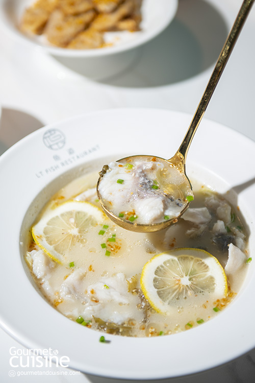 เด็ด เผ็ด ชาแบบจีนเสฉวน LT FISH RESTAURANT มาปักหมุดแล้วที่เซ็นทรัล พระราม 9