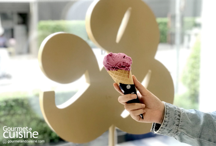 Ampersand Gelato