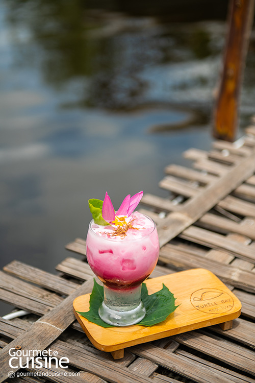 Turtle Bay คาเฟ่และที่พักบรรยากาศดี ใกล้เขาเต่า หัวหิน