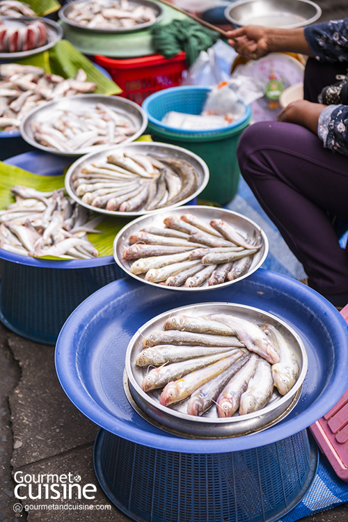 รู้จักวัฒนธรรมการกิน "อาหารอีสาน" ผ่านสายตาเชฟท้องถิ่น
