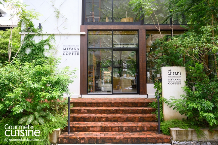 MiVana Coffee Flagship Store ‘มีวนา’ ร้านกาแฟกลาสเฮ้าส์ กับแนวคิดของความยั่งยืนเพื่อเกษตรกรไทย